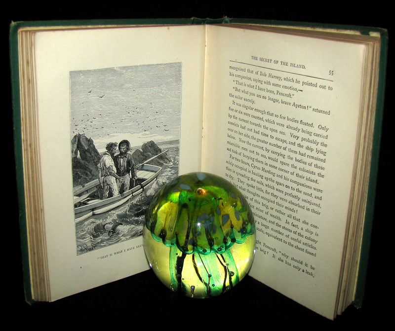 1879 Rare Third Edition - The Secret of the Island by Jules Verne. Illustrated.