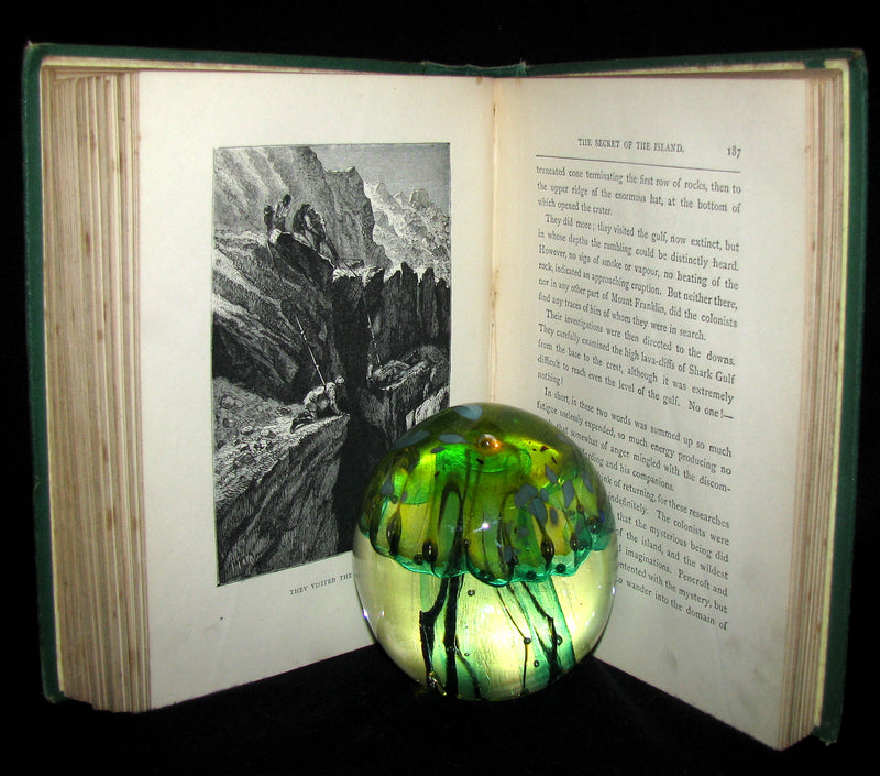 1879 Rare Third Edition - The Secret of the Island by Jules Verne. Illustrated.