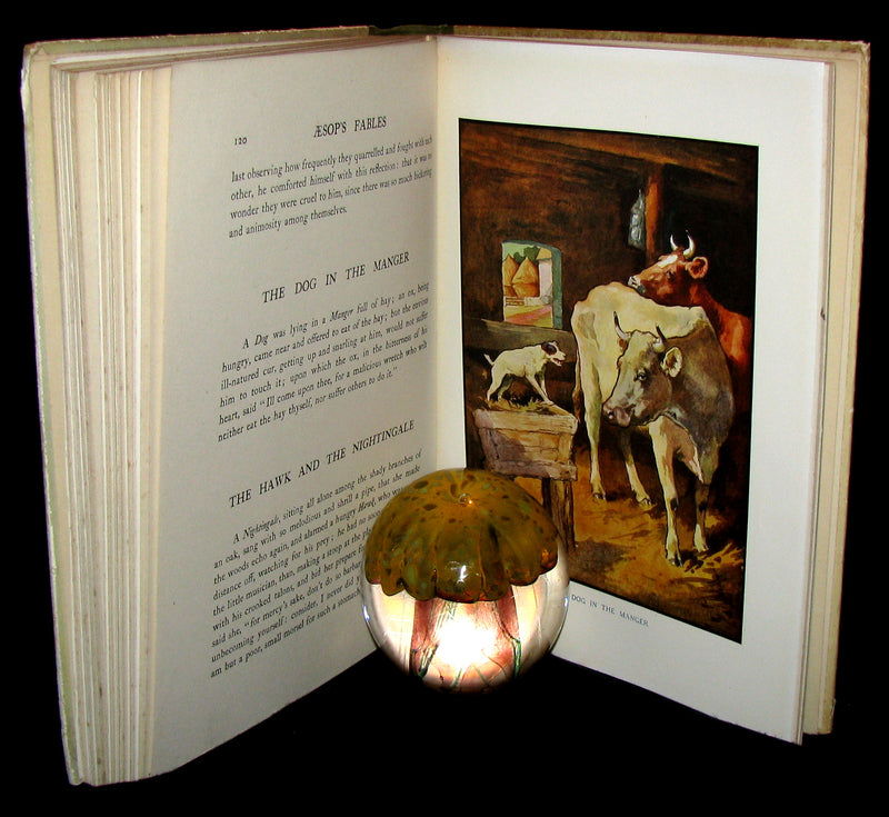 1910 Rare Book - Aesop's Fables Illustrated by Edwin Noble