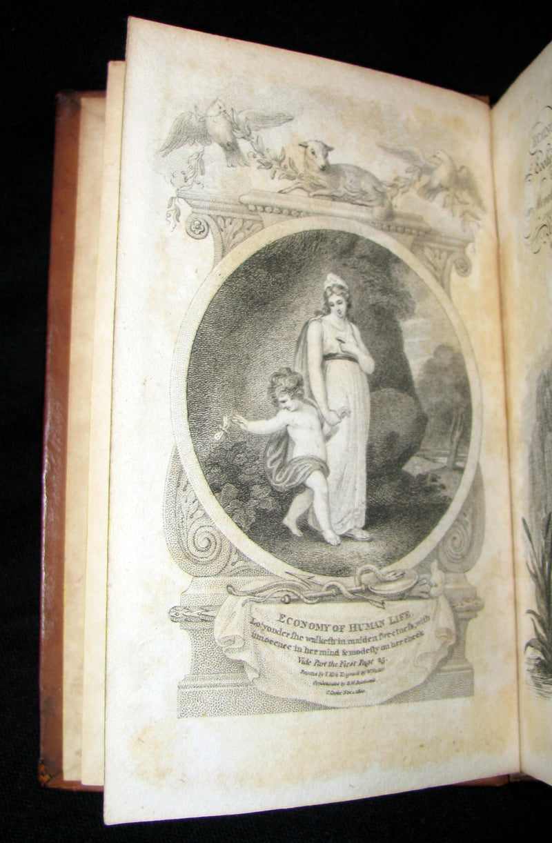 1800 Rare Book -  The Economy of Human Life from an Indian Manuscript written by a Bramin