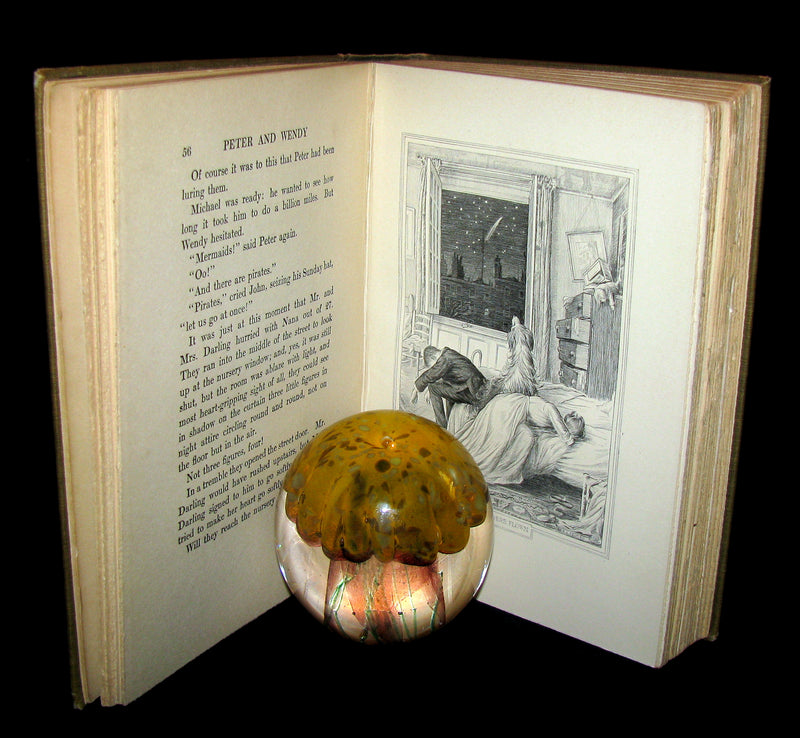 1911 Rare Book  - Peter Pan First Edition - Peter and Wendy by James Matthew Barrie
