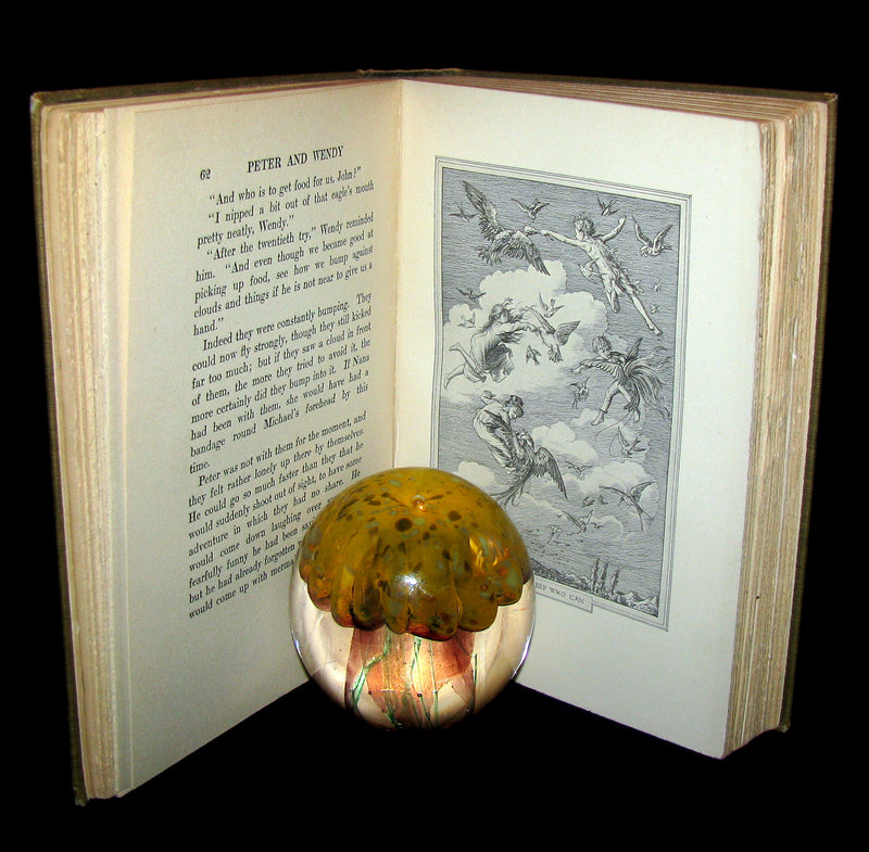 1911 Rare Book  - Peter Pan First Edition - Peter and Wendy by James Matthew Barrie