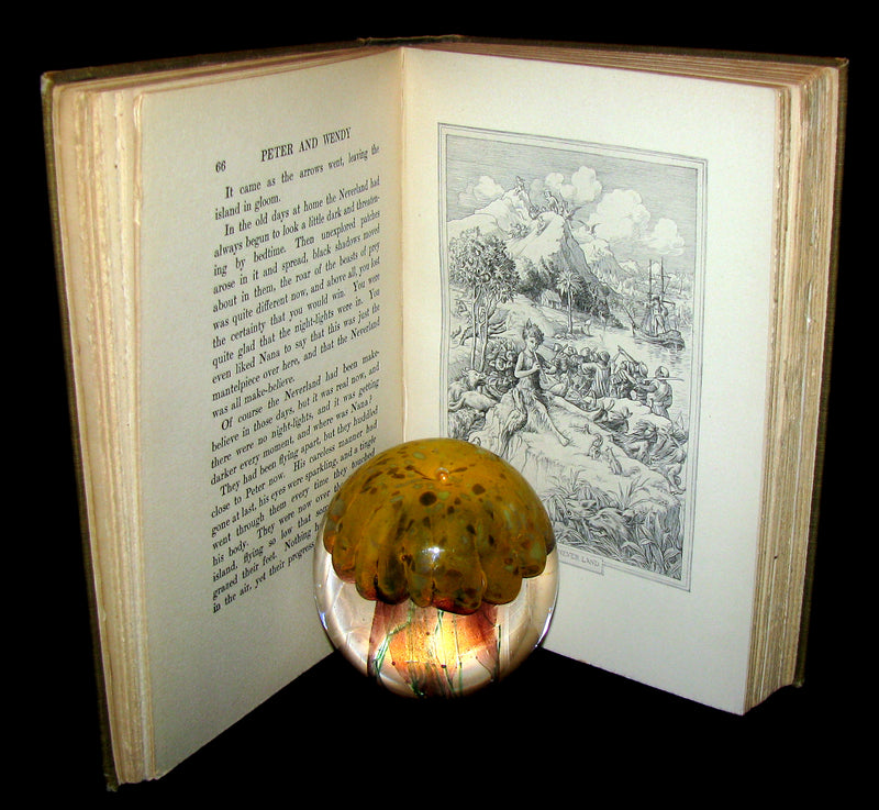 1911 Rare Book  - Peter Pan First Edition - Peter and Wendy by James Matthew Barrie
