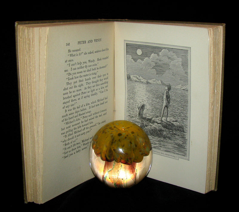 1911 Rare Book  - Peter Pan First Edition - Peter and Wendy by James Matthew Barrie