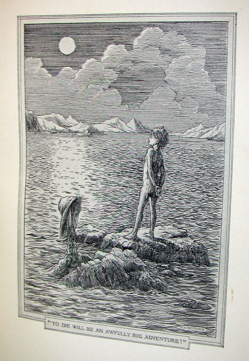 1911 Rare Book  - Peter Pan First Edition - Peter and Wendy by James Matthew Barrie