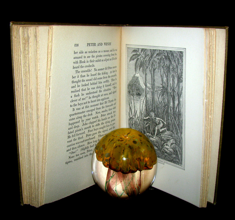 1911 Rare Book  - Peter Pan First Edition - Peter and Wendy by James Matthew Barrie