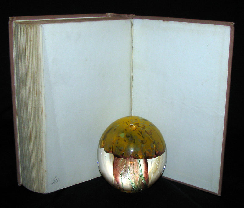 1913 Rare Early Edition - ANNE of AVONLEA By L. M. Montgomery