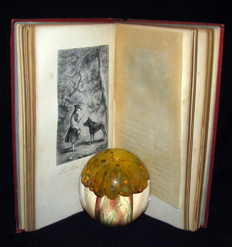 1890 Rare illustrated French Book ~ Contes de Perrault - Fairy Tales