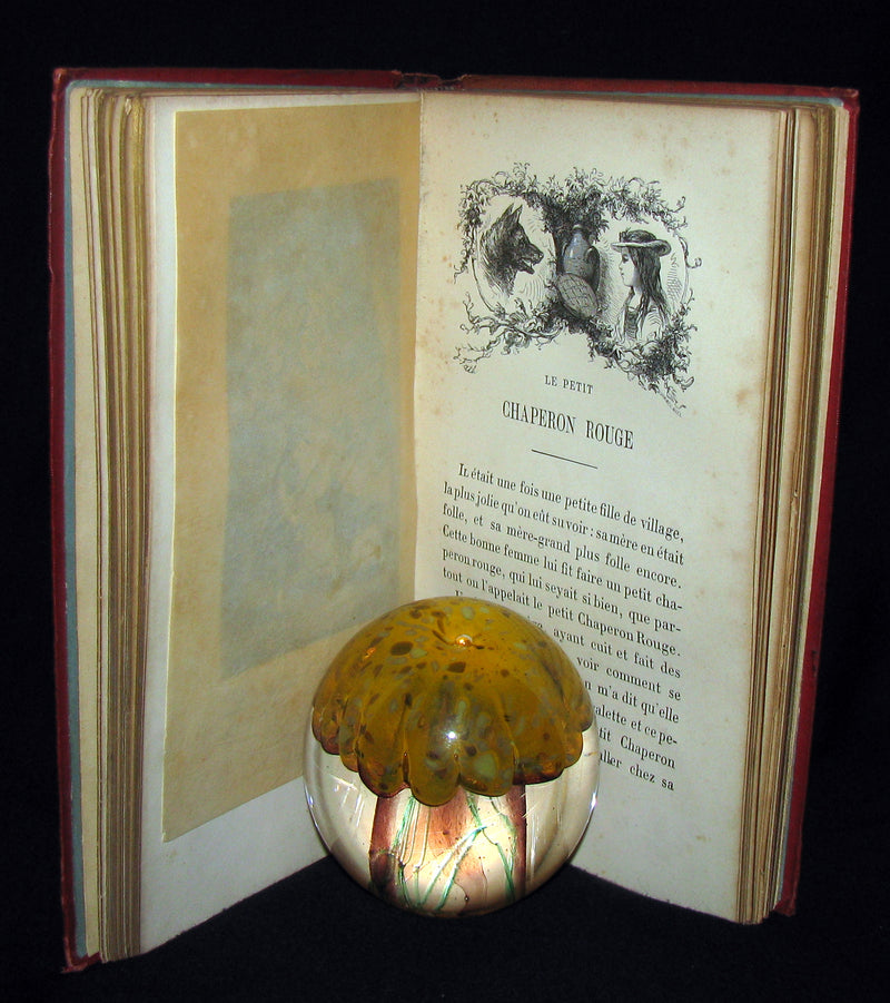 1890 Rare illustrated French Book ~ Contes de Perrault - Fairy Tales