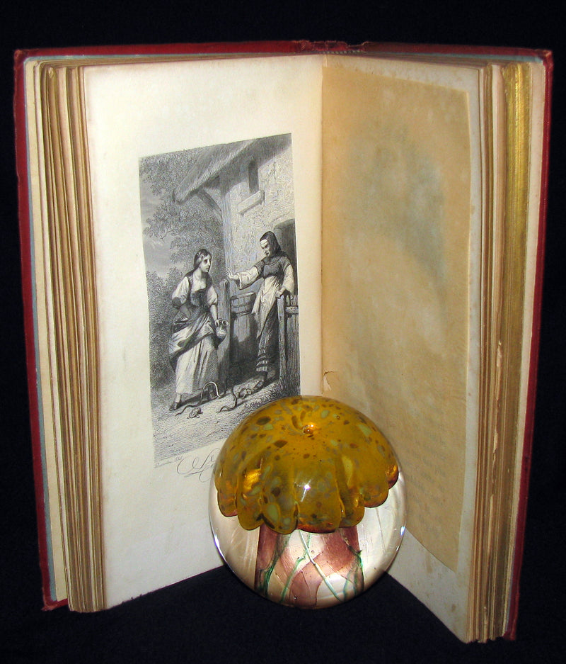 1890 Rare illustrated French Book ~ Contes de Perrault - Fairy Tales