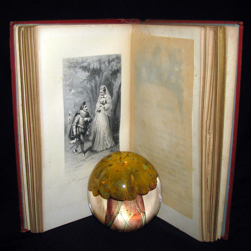 1890 Rare illustrated French Book ~ Contes de Perrault - Fairy Tales