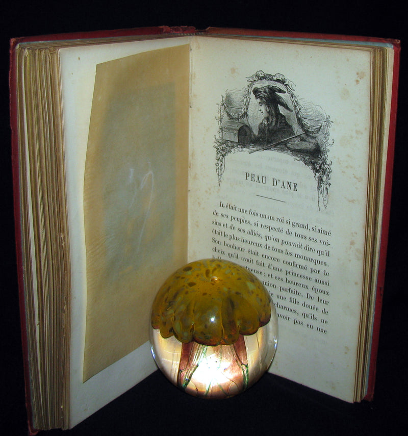 1890 Rare illustrated French Book ~ Contes de Perrault - Fairy Tales