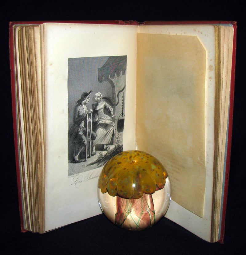 1890 Rare illustrated French Book ~ Contes de Perrault - Fairy Tales