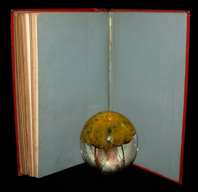 1890 Rare illustrated French Book ~ Contes de Perrault - Fairy Tales