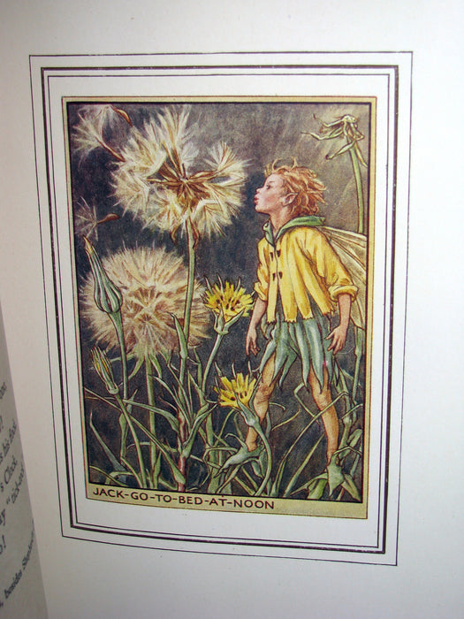 1950 - Cicely Mary Barker - FAIRIES OF THE FLOWERS AND TREES - 1st Edition