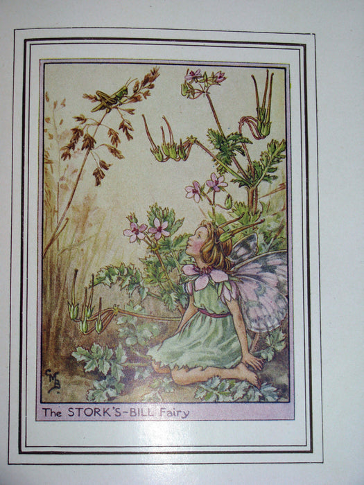 1950 - Cicely Mary Barker - FAIRIES OF THE FLOWERS AND TREES - 1st Edition