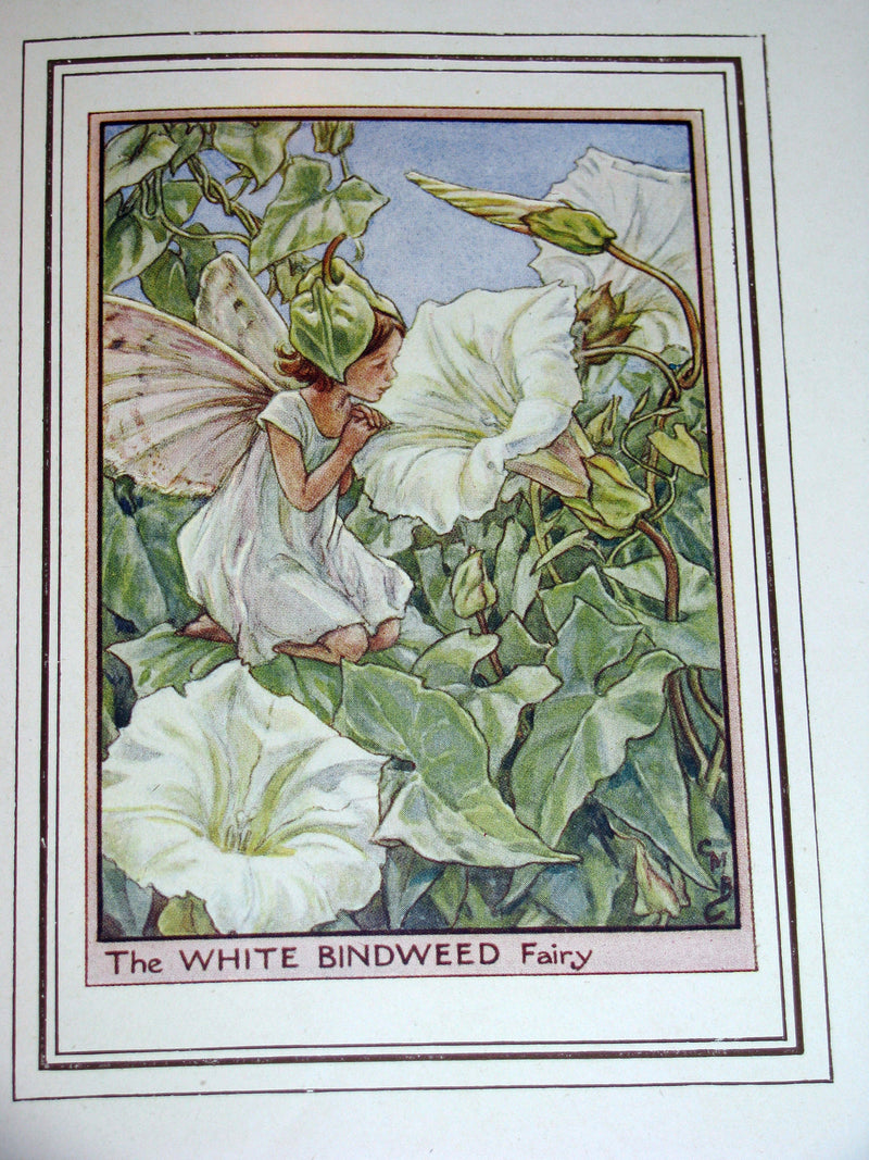 1950 - Cicely Mary Barker - FAIRIES OF THE FLOWERS AND TREES - 1st Edition