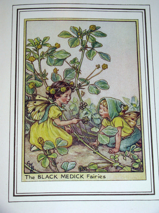 1950 - Cicely Mary Barker - FAIRIES OF THE FLOWERS AND TREES - 1st Edition