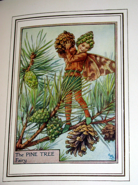 1950 - Cicely Mary Barker - FAIRIES OF THE FLOWERS AND TREES - 1st Edition