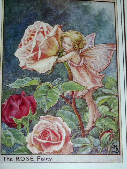 1950 - Cicely Mary Barker - FAIRIES OF THE FLOWERS AND TREES - 1st Edition