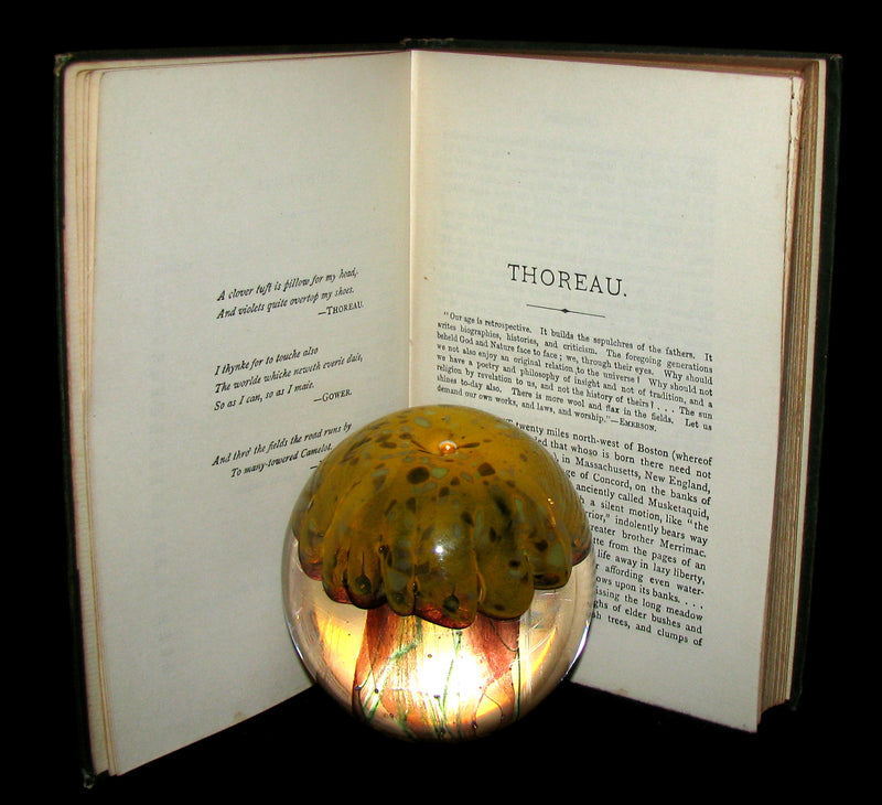 1886 Rare Victorian Book - WALDEN by Henry David Thoreau