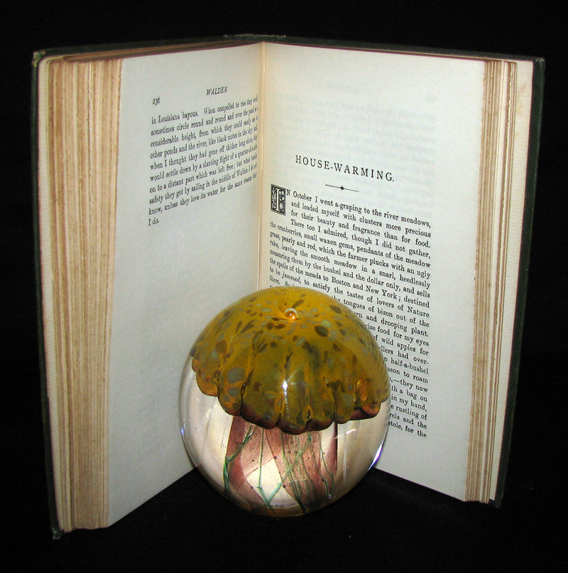 1886 Rare Victorian Book - WALDEN by Henry David Thoreau