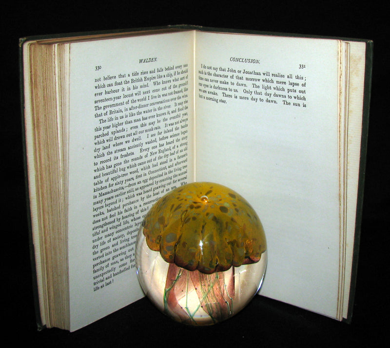 1886 Rare Victorian Book - WALDEN by Henry David Thoreau