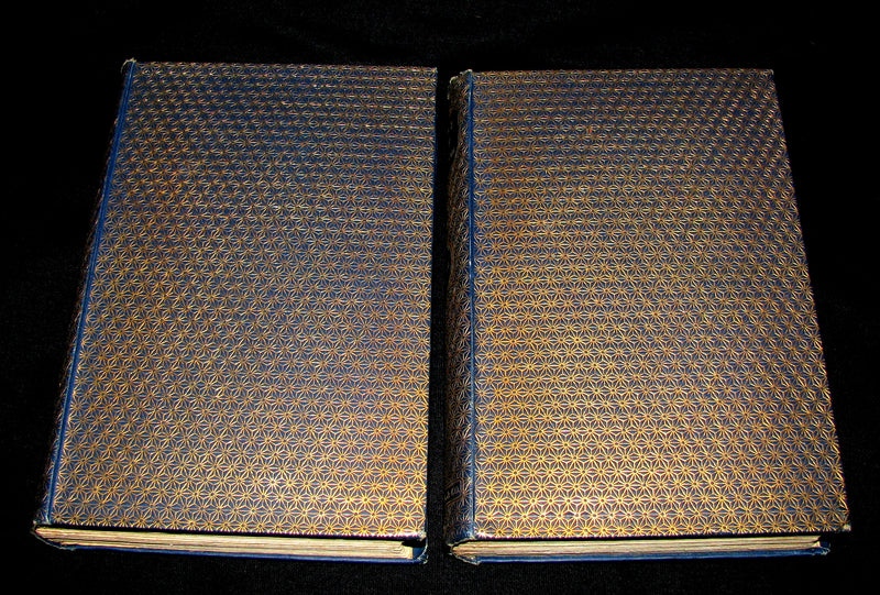 1888 Rare Victorian Book set - The Hunchback of Notre-Dame by Victor Hugo. Gothic.