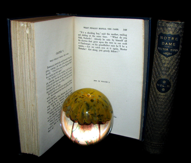 1888 Rare Victorian Book set - The Hunchback of Notre-Dame by Victor Hugo. Gothic.