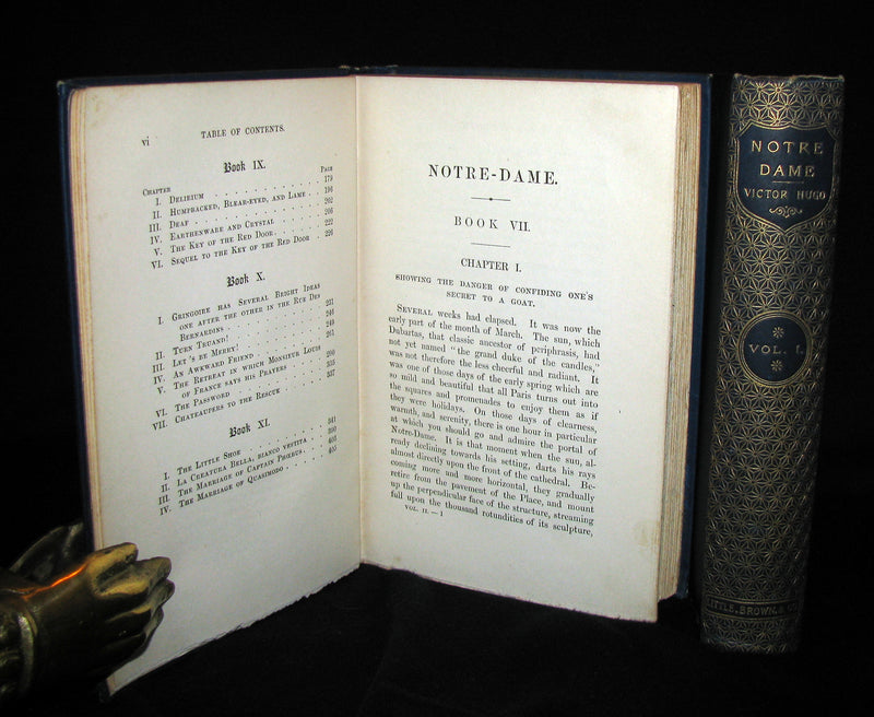 1888 Rare Victorian Book set - The Hunchback of Notre-Dame by Victor Hugo. Gothic.