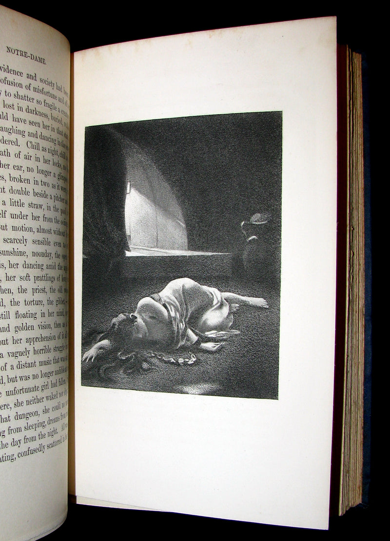 1888 Rare Victorian Book set - The Hunchback of Notre-Dame by Victor Hugo. Gothic.