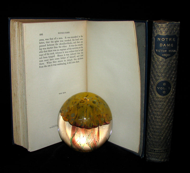 1888 Rare Victorian Book set - The Hunchback of Notre-Dame by Victor Hugo. Gothic.