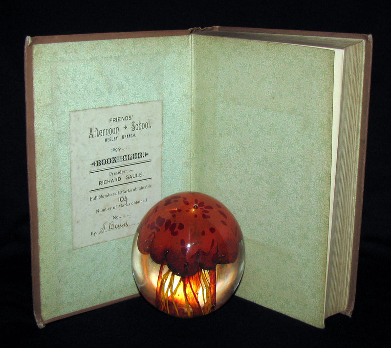 1896 Rare Victorian Book - Gulliver's Travels Into Several Remote Nations of the World