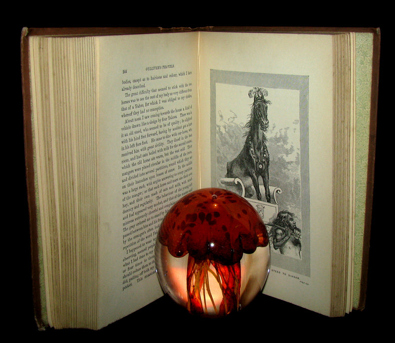 1896 Rare Victorian Book - Gulliver's Travels Into Several Remote Nations of the World