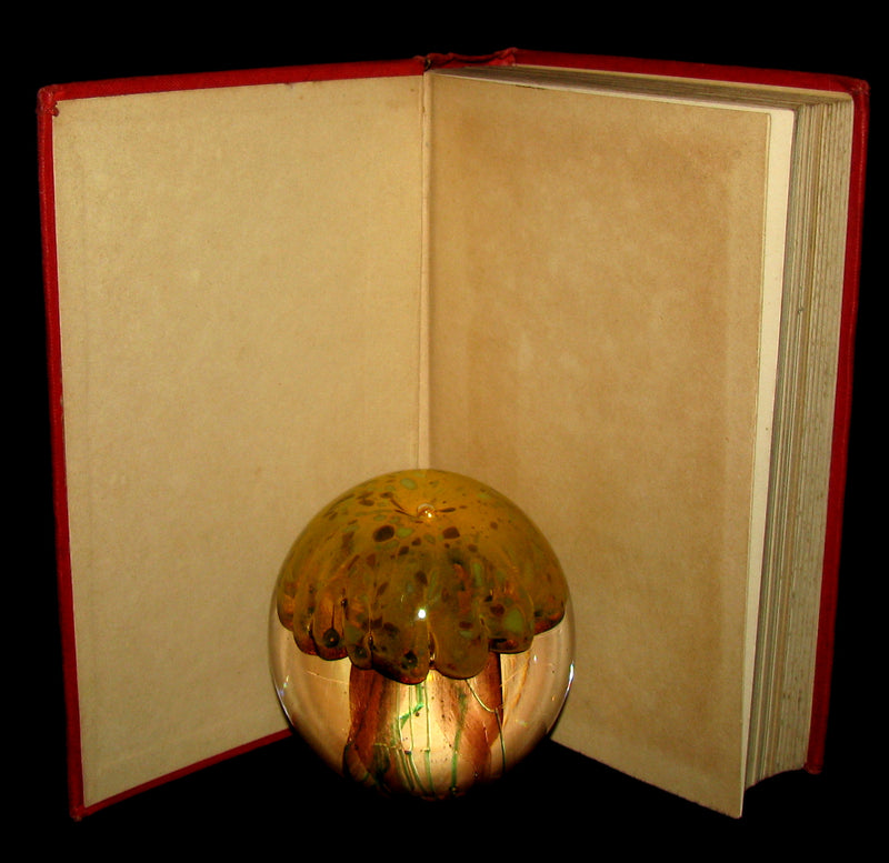 1899 Rare Victorian Book - JULES VERNE Five Weeks in a Balloon.