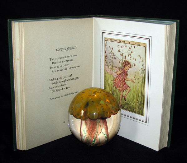 1950 Cicely Mary Barker First Edition - FAIRIES OF THE FLOWERS AND TREES