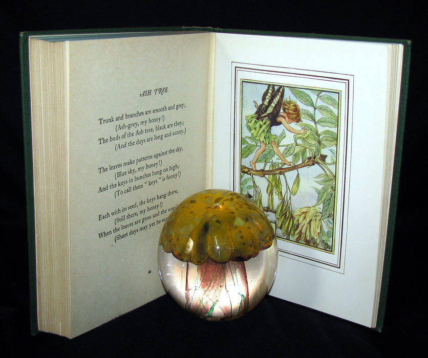 1950 Cicely Mary Barker First Edition - FAIRIES OF THE FLOWERS AND TREES