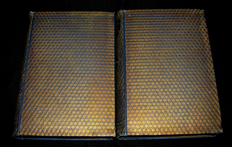 1892 Rare Victorian Book set - The Hunchback of Notre-Dame by Victor Hugo. Gothic.