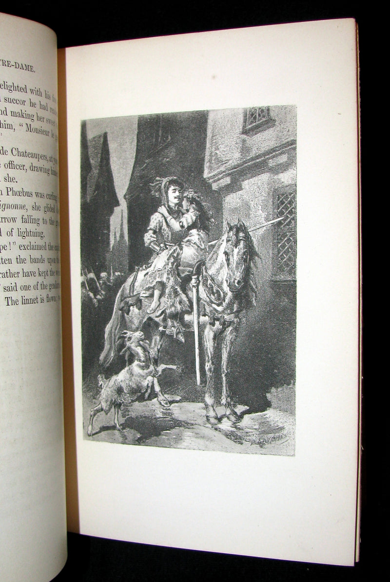 1892 Rare Victorian Book set - The Hunchback of Notre-Dame by Victor Hugo. Gothic.