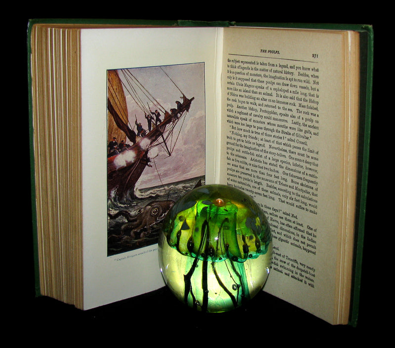 1900 Rare Book - Twenty Thousand Leagues Under the Sea by Jules Verne