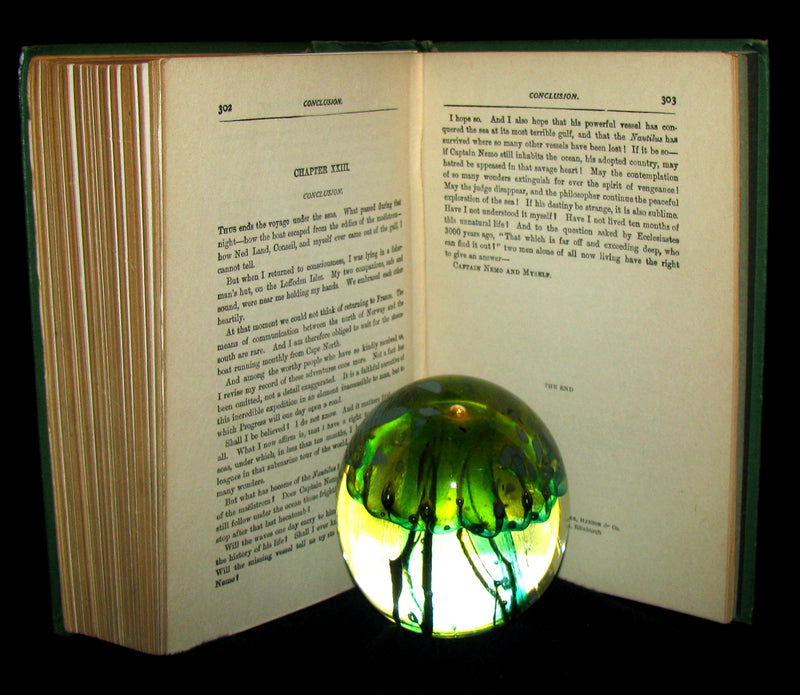 1900 Rare Book - Twenty Thousand Leagues Under the Sea by Jules Verne