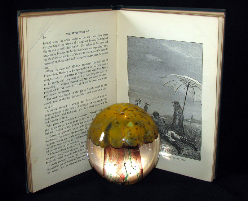 1895 - Adventures of Three Englishmen and Three Russians in South Africa by Jules Verne