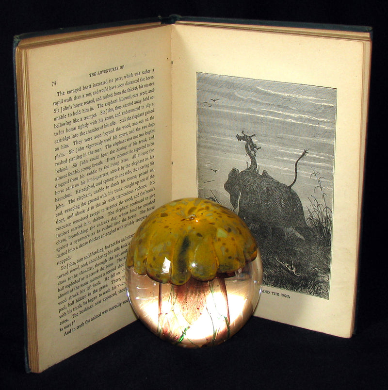 1895 - Adventures of Three Englishmen and Three Russians in South Africa by Jules Verne