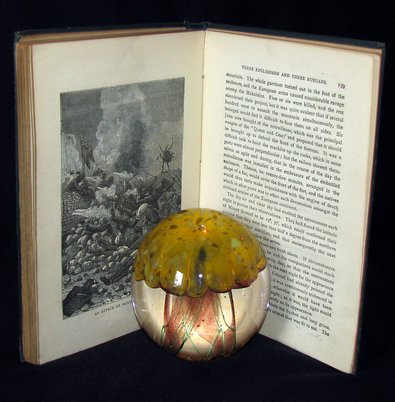 1895 - Adventures of Three Englishmen and Three Russians in South Africa by Jules Verne
