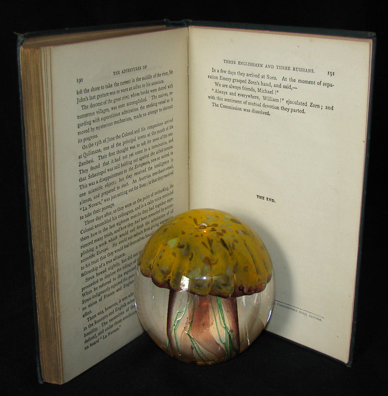 1895 - Adventures of Three Englishmen and Three Russians in South Africa by Jules Verne