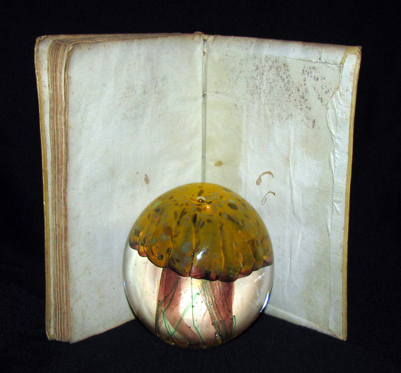 1691 First Ed. Scarce Italian Vellum Book - Del terrestre Paradiso di Bonedetto Menzini