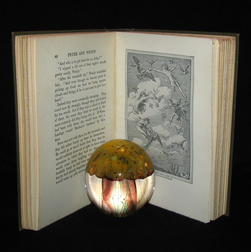 1911 Rare Book  - Peter Pan First Edition - Peter and Wendy by James Matthew Barrie