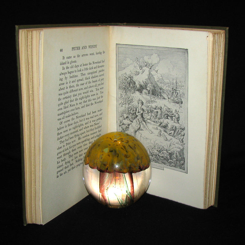 1911 Rare Book  - Peter Pan First Edition - Peter and Wendy by James Matthew Barrie