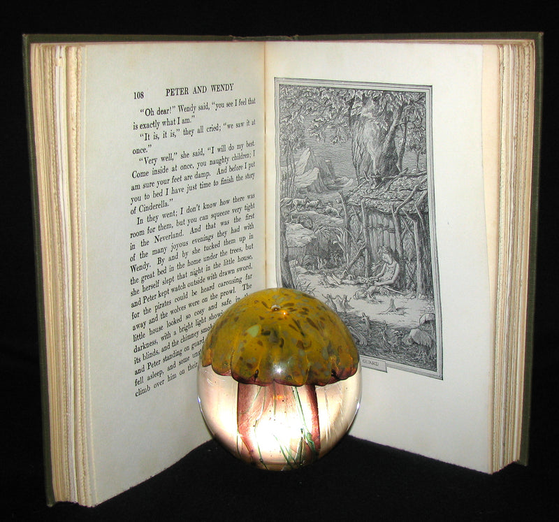 1911 Rare Book  - Peter Pan First Edition - Peter and Wendy by James Matthew Barrie