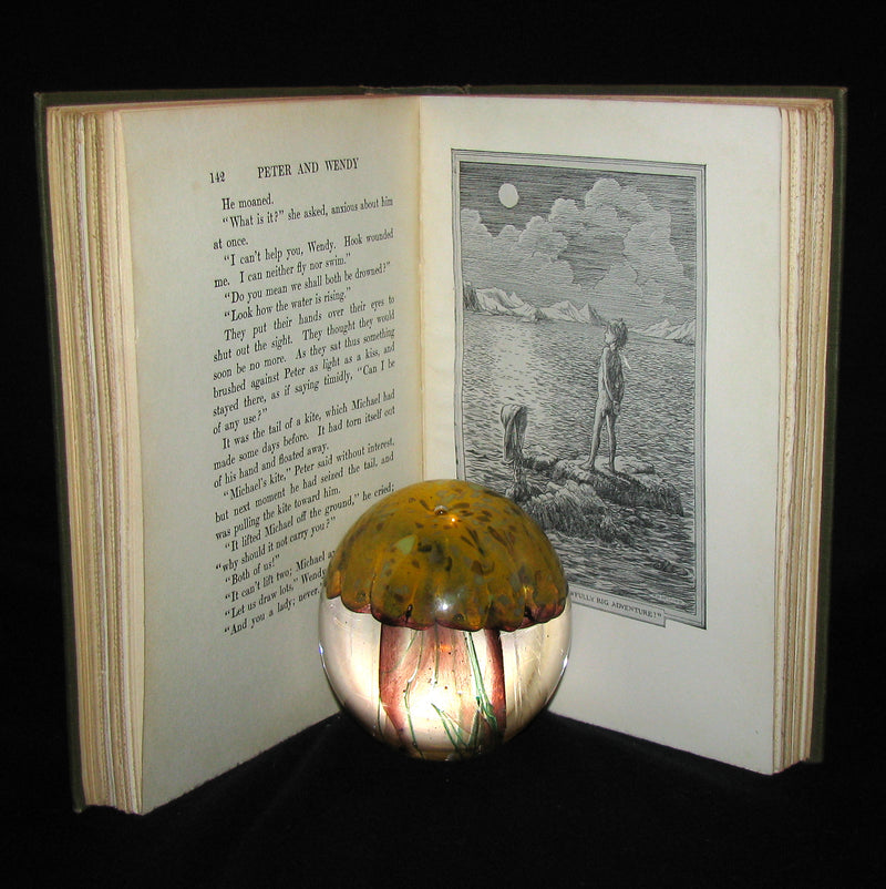 1911 Rare Book  - Peter Pan First Edition - Peter and Wendy by James Matthew Barrie
